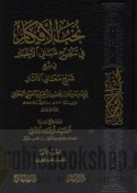 Nukhab al-afkār fī tanqīḥ mabānī al-akhbār fī sharḥ Ma‘ānī al-āthār