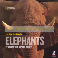 Face to face with Elephants