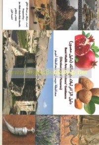 Dalīl al-zā’ir li-bilād Banī Mālik (dalīl muṣawwar)