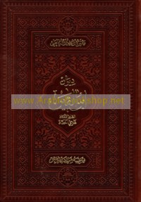 Dīwān Ibn al-Qayn