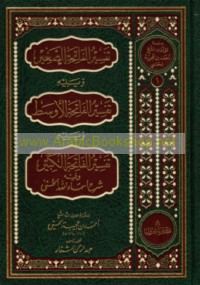 Tafsīr al-Fātiḥah al-Ṣaghīr